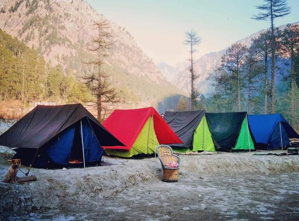 Stayhigh Camps & Cottages Kasol Ngoại thất bức ảnh